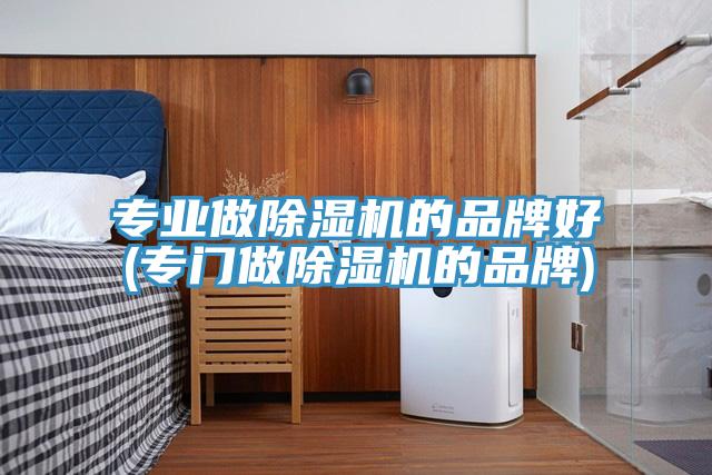 專(zhuān)業(yè)做除濕機的品牌好(專(zhuān)門(mén)做除濕機的品牌)