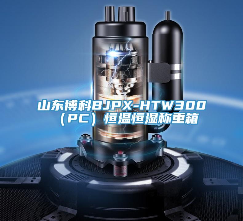 山東博科BJPX-HTW300（PC）恒溫恒濕稱(chēng)重箱