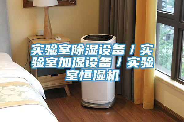 實(shí)驗室除濕設備／實(shí)驗室加濕設備／實(shí)驗室恒濕機