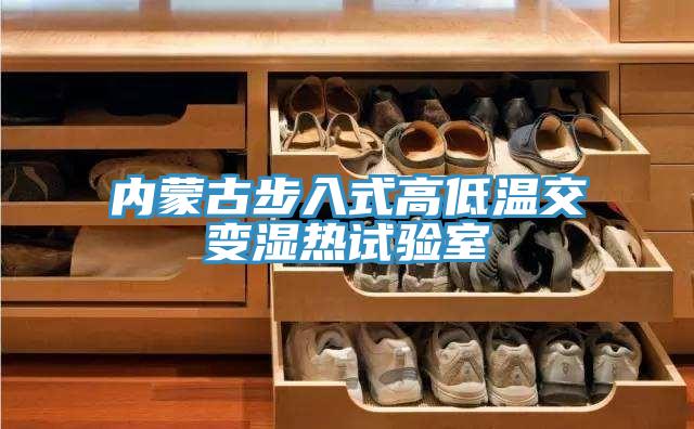 內蒙古步入式高低溫交變濕熱試驗室