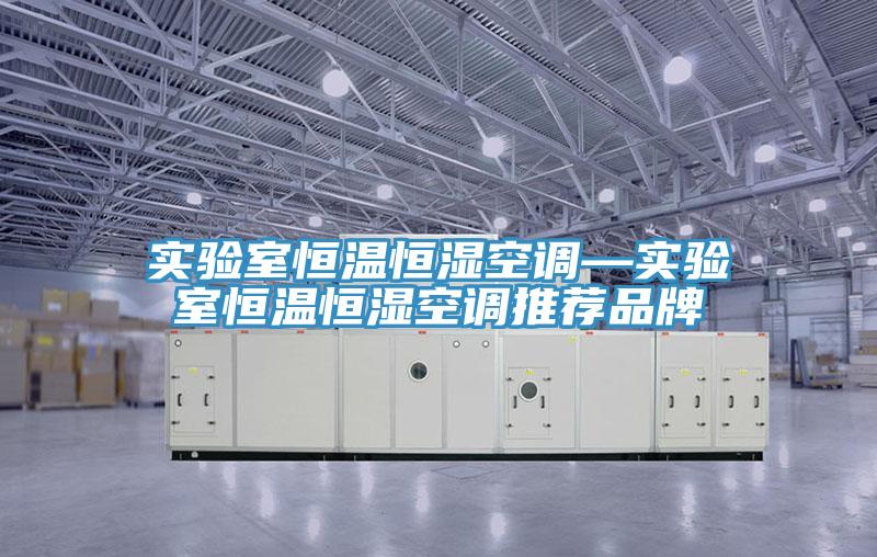 實(shí)驗室恒溫恒濕空調—實(shí)驗室恒溫恒濕空調推薦品牌