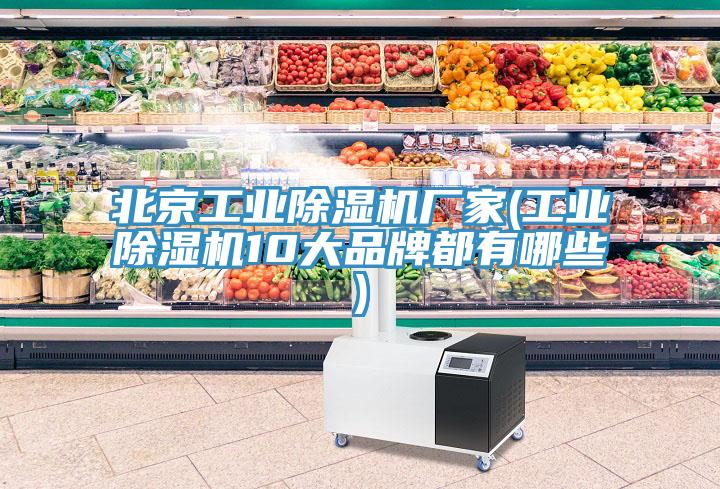 北京工業(yè)除濕機廠(chǎng)家(工業(yè)除濕機10大品牌都有哪些)