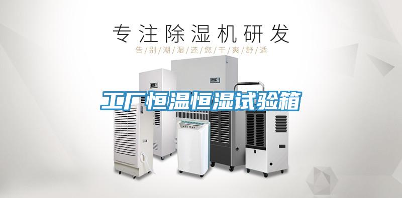 工廠(chǎng)恒溫恒濕試驗箱