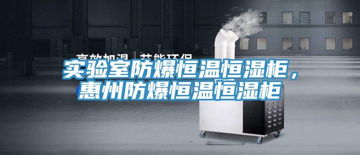 實(shí)驗室防爆恒溫恒濕柜，惠州防爆恒溫恒濕柜