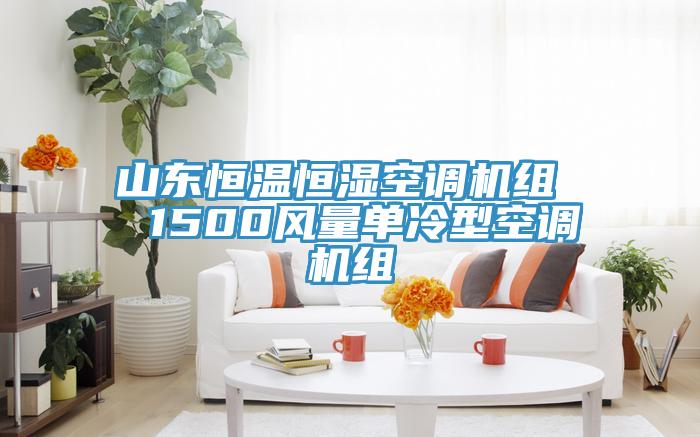 山東恒溫恒濕空調機組  1500風(fēng)量單冷型空調機組