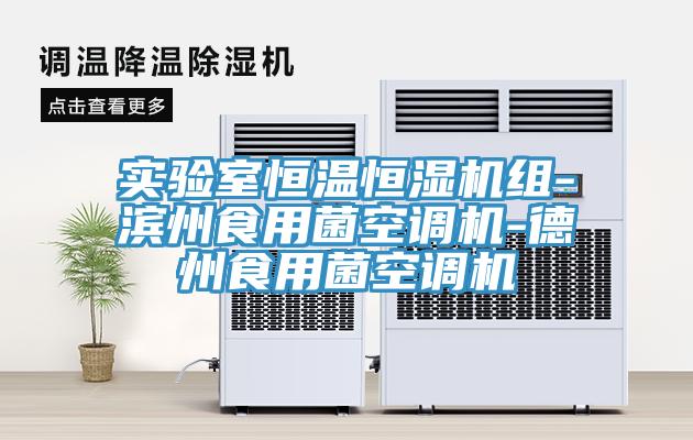 實(shí)驗室恒溫恒濕機組-濱州食用菌空調機-德州食用菌空調機