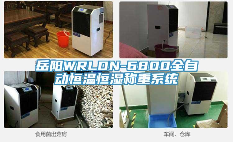 岳陽(yáng)WRLDN-6800全自動(dòng)恒溫恒濕稱(chēng)重系統