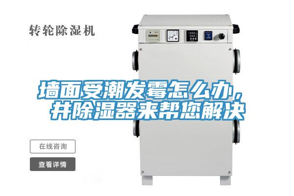 墻面受潮發(fā)霉怎么辦，東井除濕器來(lái)幫您解決