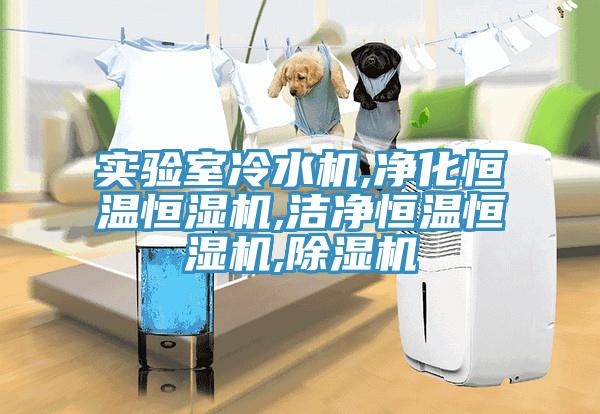 實(shí)驗室冷水機,凈化恒溫恒濕機,潔凈恒溫恒濕機,除濕機