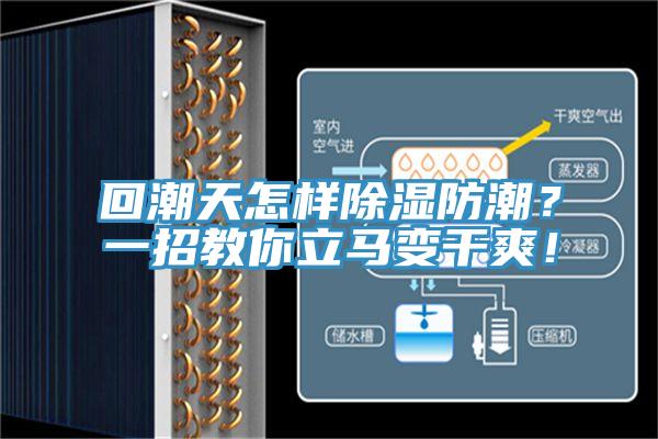 回潮天怎樣除濕防潮？一招教你立馬變干爽！