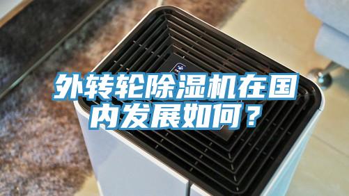外轉輪除濕機在國內發(fā)展如何？