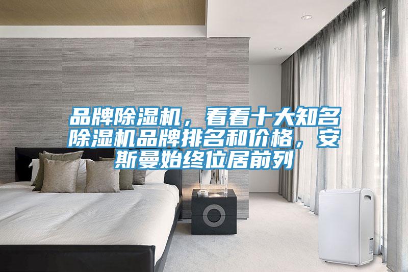 品牌除濕機，看看十大知名除濕機品牌排名和價(jià)格，安斯曼始終位居前列