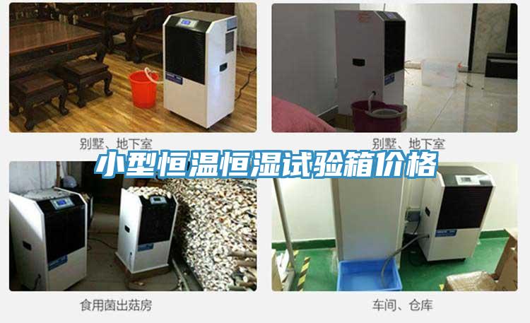 小型恒溫恒濕試驗箱價(jià)格