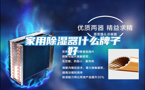家用除濕器什么牌子好