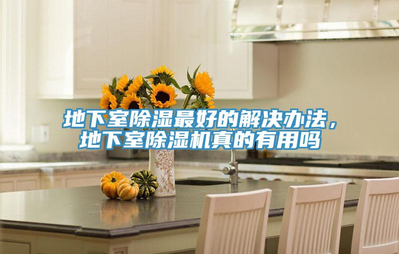 地下室除濕最好的解決辦法，地下室除濕機真的有用嗎