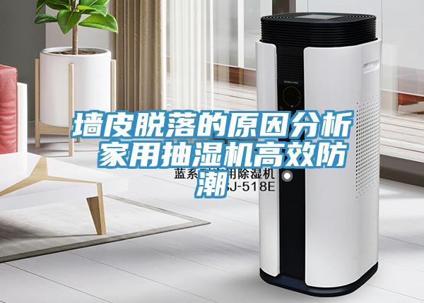 墻皮脫落的原因分析 家用抽濕機高效防潮
