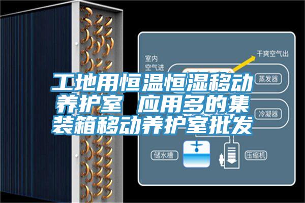 工地用恒溫恒濕移動(dòng)養護室 應用多的集裝箱移動(dòng)養護室批發(fā)