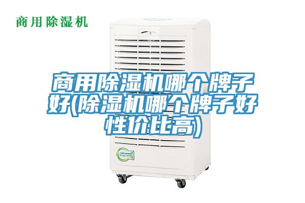 商用除濕機哪個(gè)牌子好(除濕機哪個(gè)牌子好性?xún)r(jià)比高)