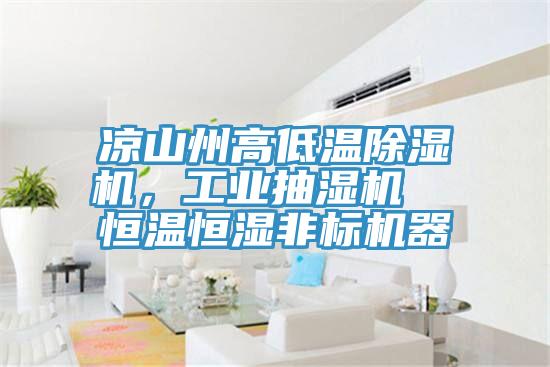 涼山州高低溫除濕機，工業(yè)抽濕機  恒溫恒濕非標機器