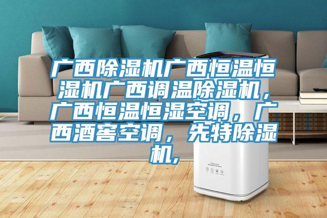 廣西除濕機廣西恒溫恒濕機廣西調溫除濕機，廣西恒溫恒濕空調，廣西酒窖空調，先特除濕機,