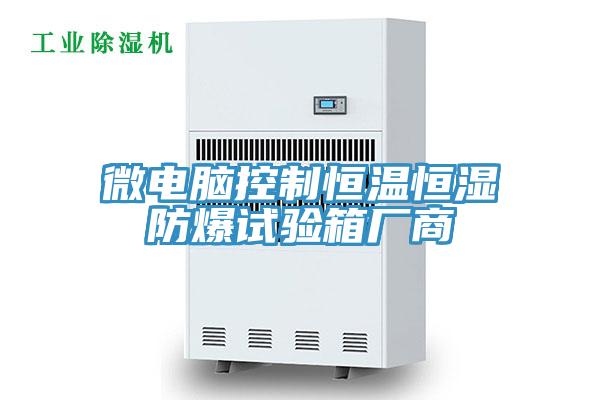 微電腦控制恒溫恒濕防爆試驗箱廠(chǎng)商