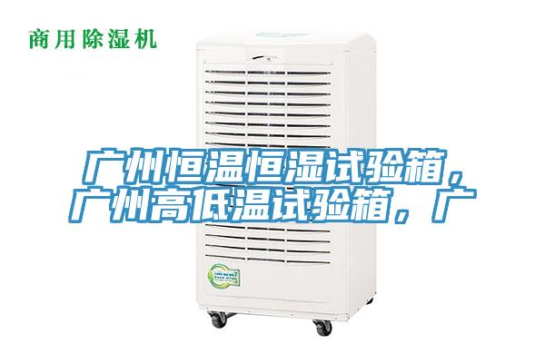廣州恒溫恒濕試驗箱，廣州高低溫試驗箱，廣