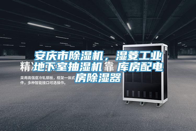 安慶市除濕機，濕菱工業(yè)地下室抽濕機  庫房配電房除濕器