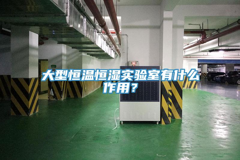 大型恒溫恒濕實(shí)驗室有什么作用？