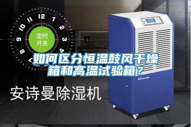 如何區分恒溫鼓風(fēng)干燥箱和高溫試驗箱？