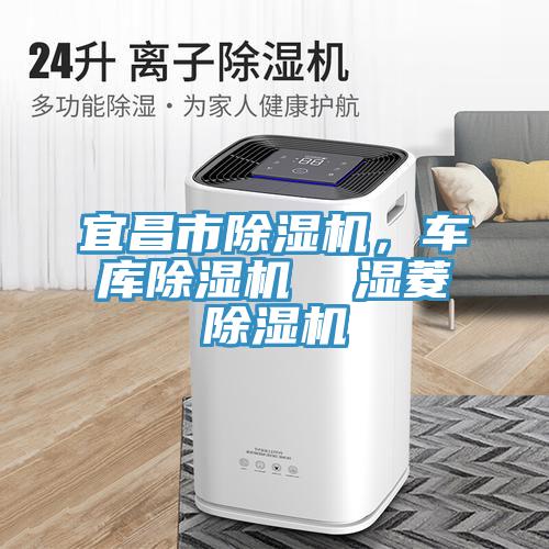 宜昌市除濕機，車(chē)庫除濕機  濕菱除濕機