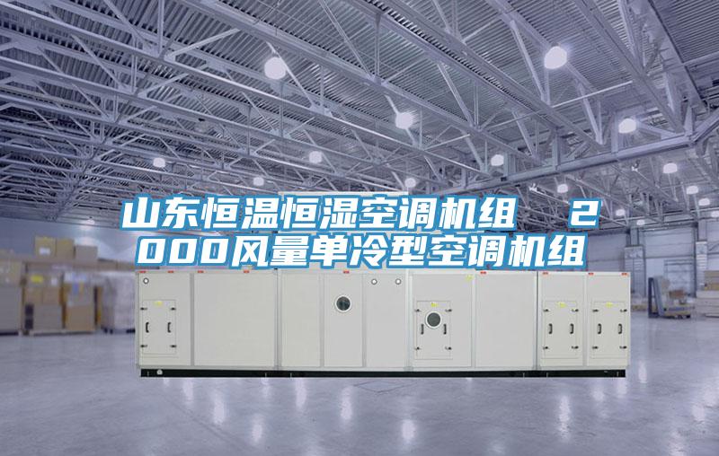 山東恒溫恒濕空調機組  2000風(fēng)量單冷型空調機組