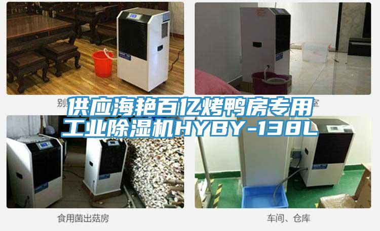 供應海艷百億烤鴨房專(zhuān)用工業(yè)除濕機HYBY-138L