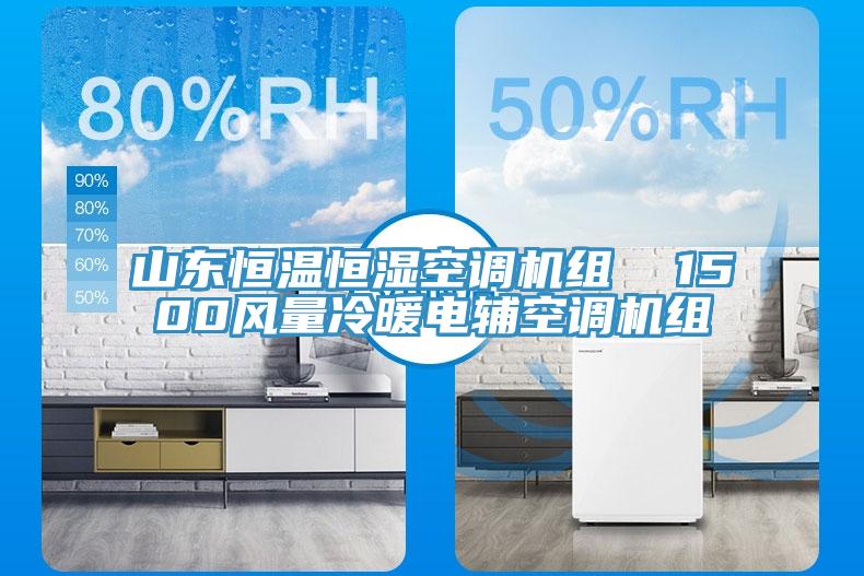 山東恒溫恒濕空調機組  1500風(fēng)量冷暖電輔空調機組
