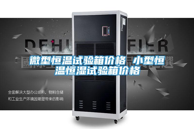 微型恒溫試驗箱價(jià)格 小型恒溫恒濕試驗箱價(jià)格