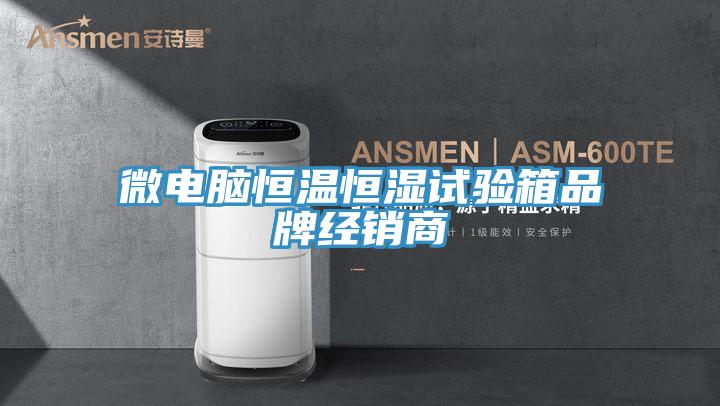 微電腦恒溫恒濕試驗箱品牌經(jīng)銷(xiāo)商