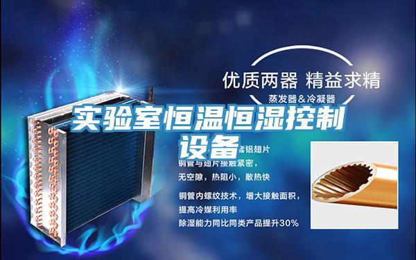 實(shí)驗室恒溫恒濕控制設備