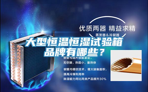 大型恒溫恒濕試驗箱品牌有哪些？