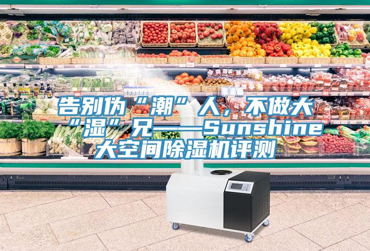 告別偽“潮”人，不做大“濕”兄——Sunshine大空間除濕機評測