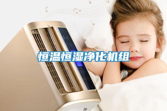 恒溫恒濕凈化機組