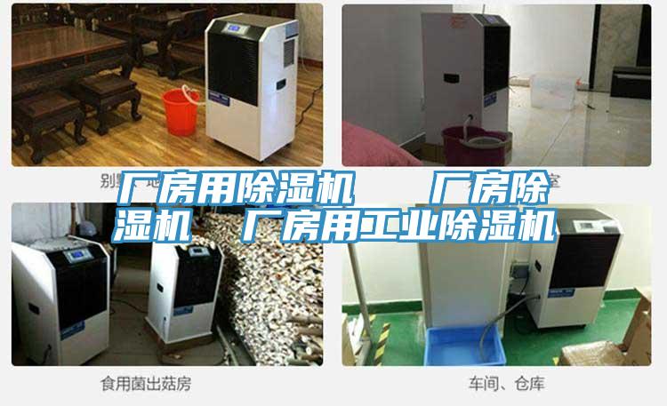 廠(chǎng)房用除濕機   廠(chǎng)房除濕機  廠(chǎng)房用工業(yè)除濕機