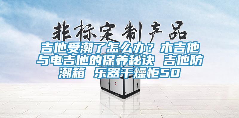 吉他受潮了怎么辦？木吉他與電吉他的保養秘訣 吉他防潮箱 樂(lè )器干燥柜50