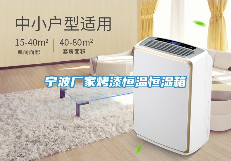 寧波廠(chǎng)家烤漆恒溫恒濕箱
