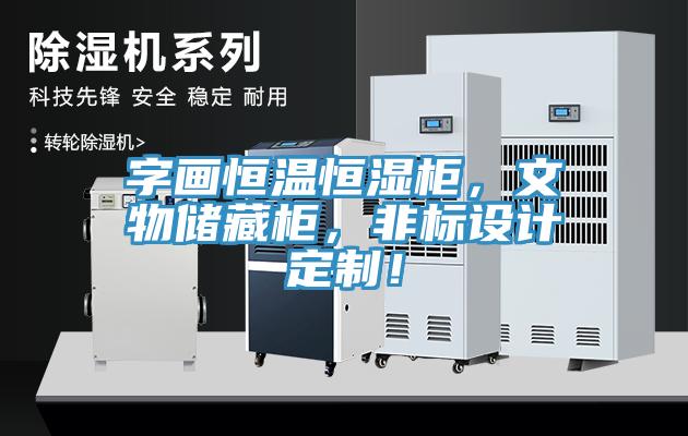 字畫(huà)恒溫恒濕柜，文物儲藏柜，非標設計定制！