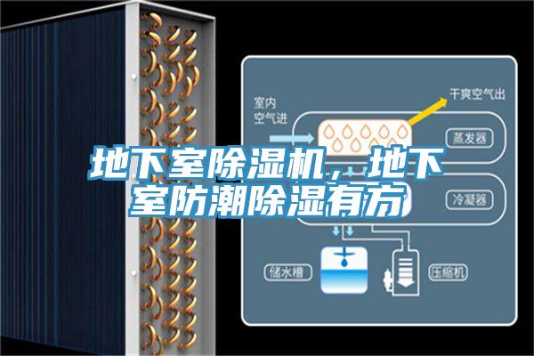 地下室除濕機，地下室防潮除濕有方