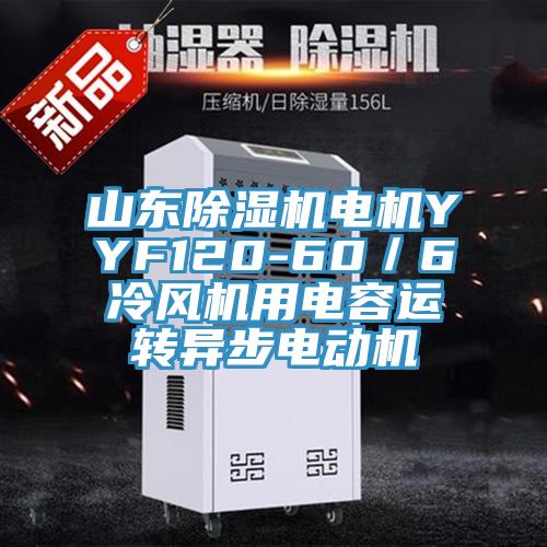 山東除濕機電機YYF120-60／6冷風(fēng)機用電容運轉異步電動(dòng)機