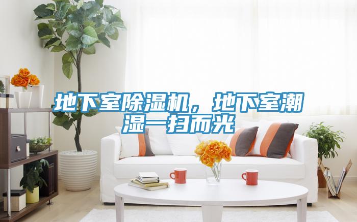 地下室除濕機，地下室潮濕一掃而光