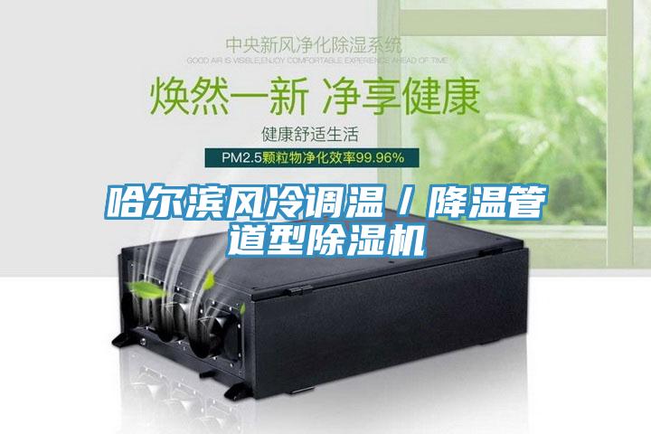 哈爾濱風(fēng)冷調溫／降溫管道型除濕機