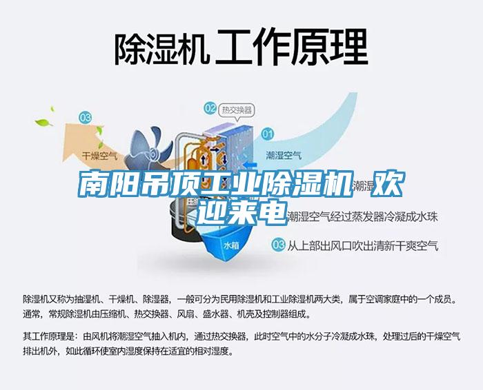 南陽(yáng)吊頂工業(yè)除濕機 歡迎來(lái)電