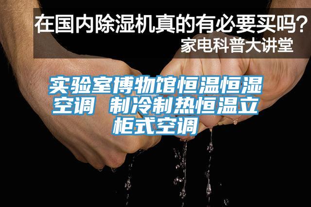 實(shí)驗室博物館恒溫恒濕空調 制冷制熱恒溫立柜式空調