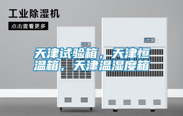 天津試驗箱，天津恒溫箱，天津溫濕度箱